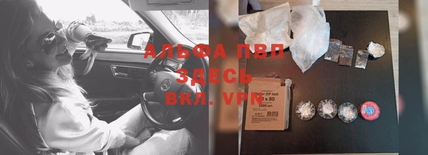 Альфа ПВП Няндома