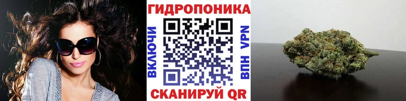 Бошки марихуана ГИДРОПОН Ужур